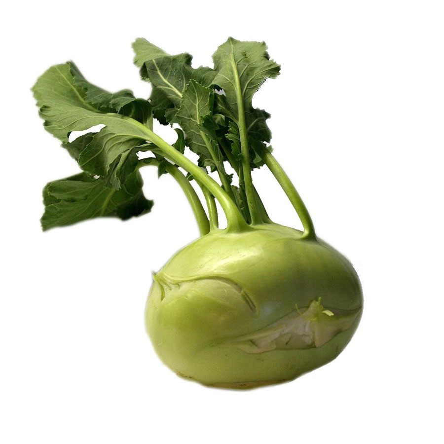 Kedluben 