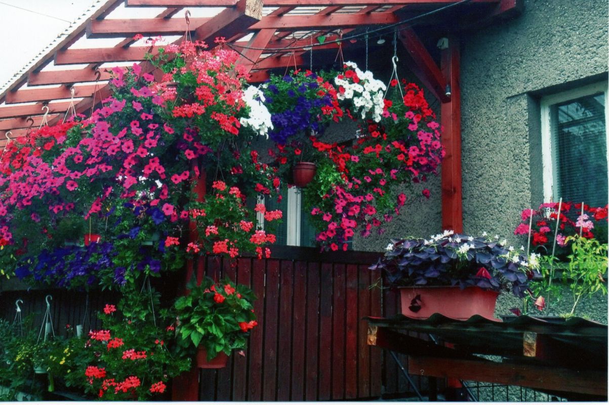 Foto zákazníka
