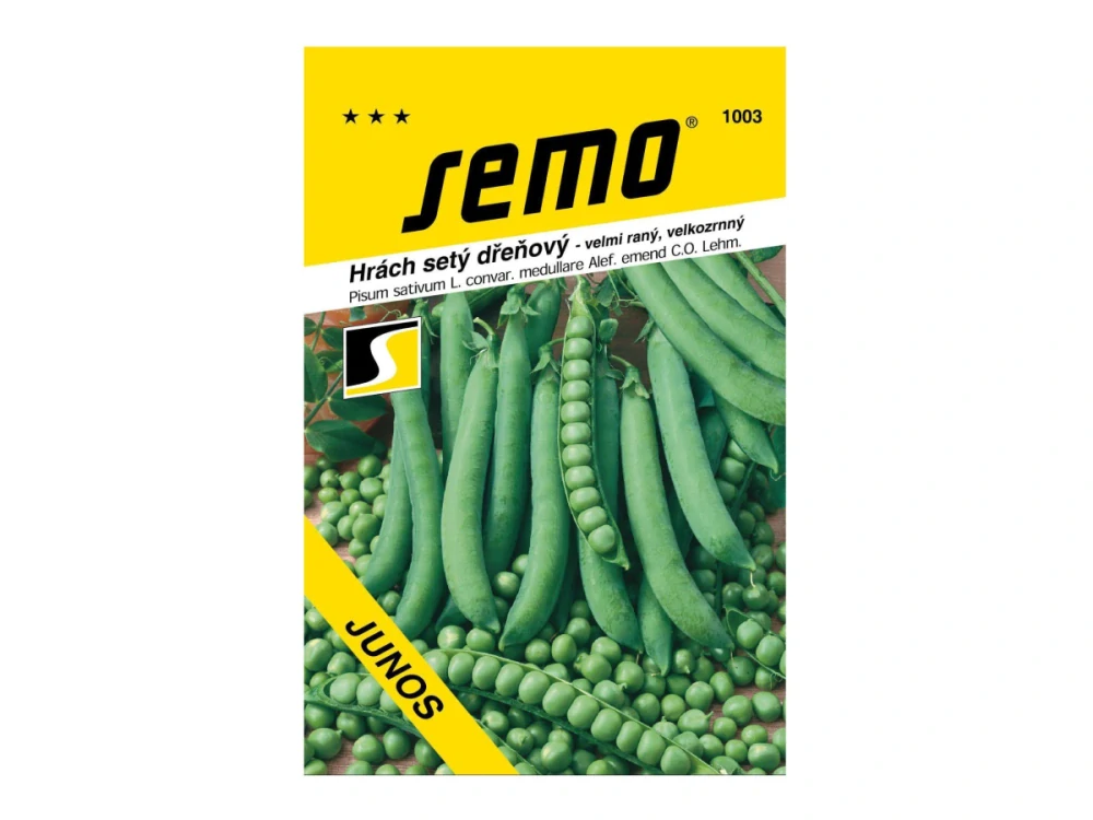 Hrách setý dřeňový Junos - osivo