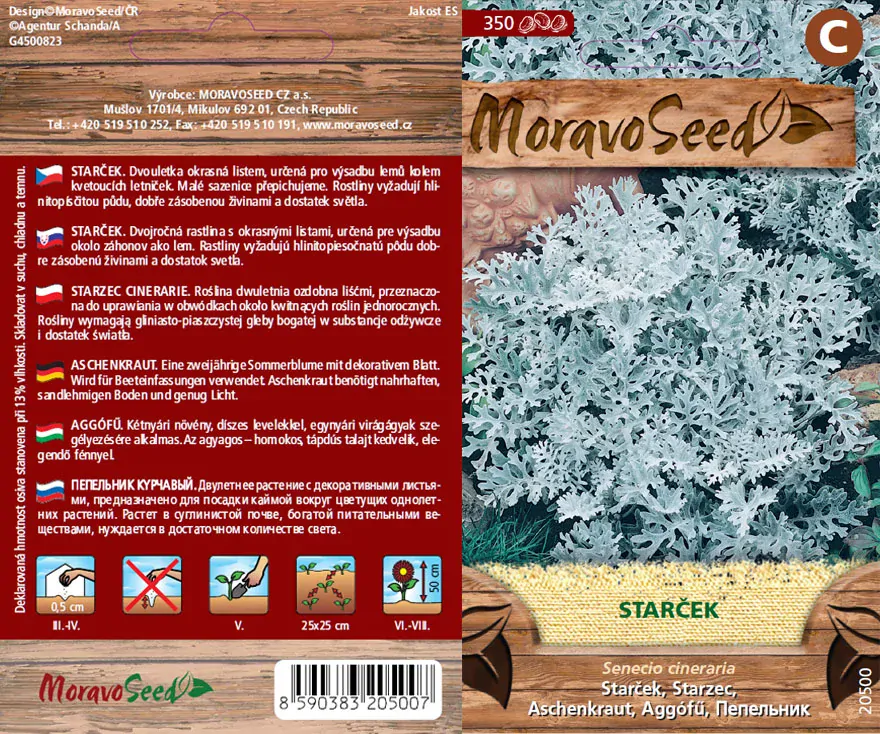 Starček - osivo