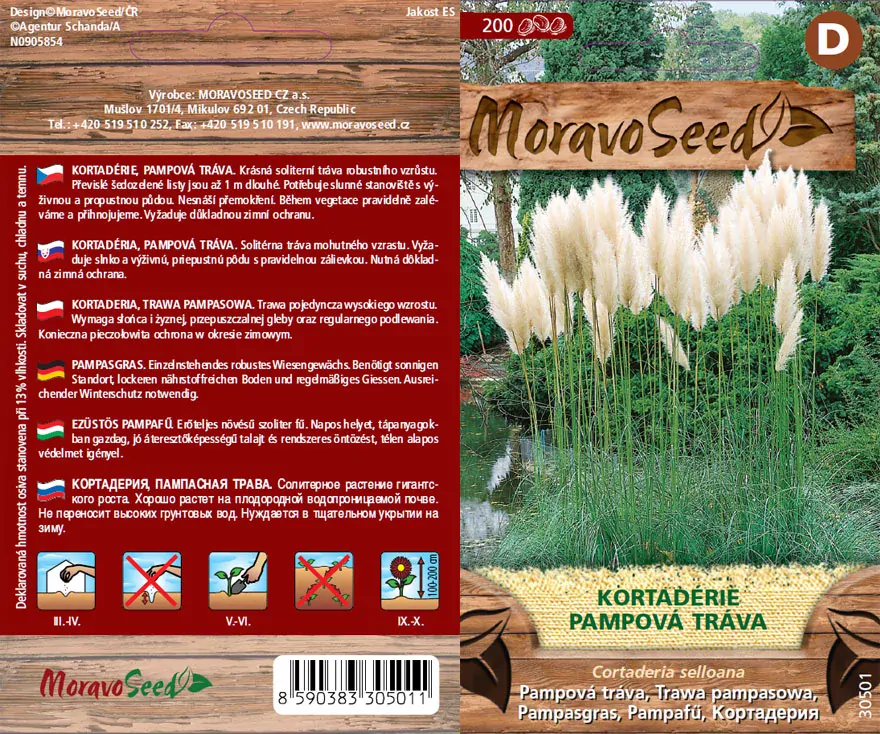 Kortadérie pampová tráva - osivo