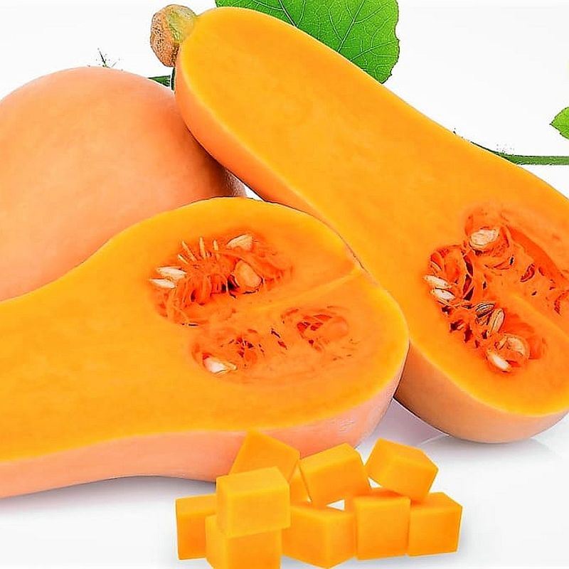 Tykev muškátová Butternut
