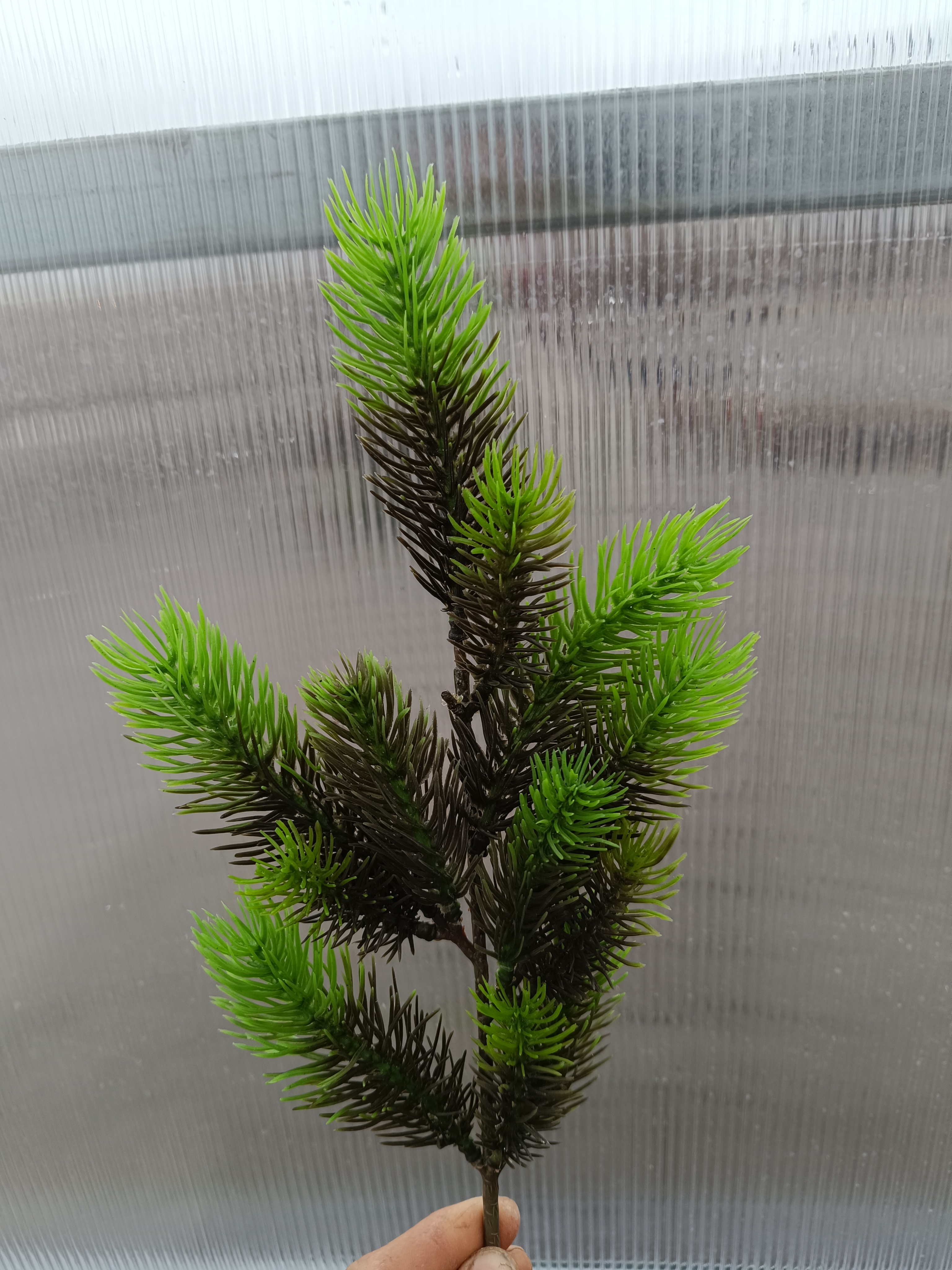 Dekorační větev umělá 48cm