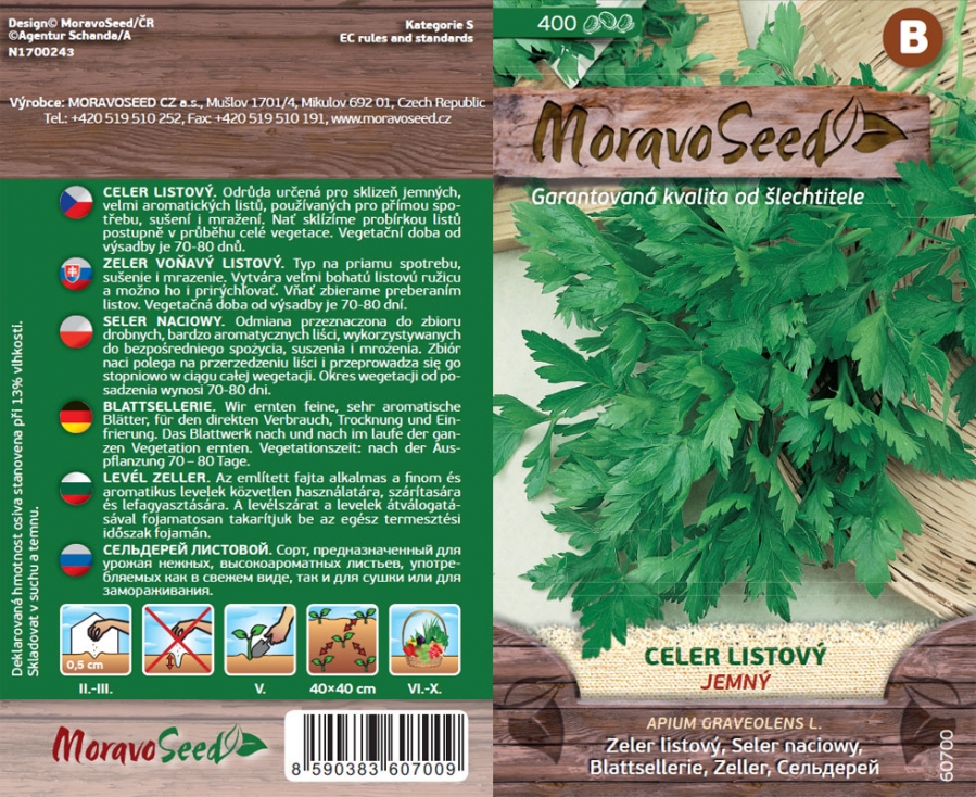 Celer listový Jemný - osivo