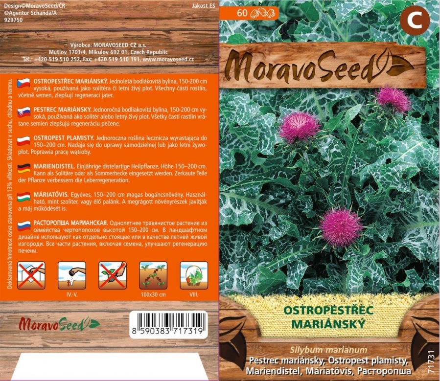 Ostropestřec mariánský - osivo