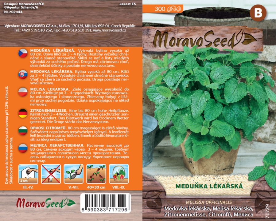 Meduňka lékařská - osivo