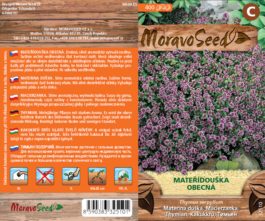 Mateřidouška fialová - osivo
