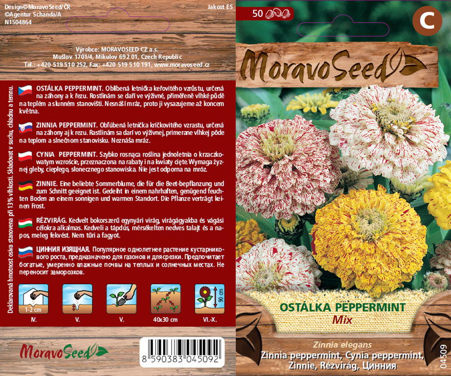 Ostálka lepá Peppermint směs - osivo