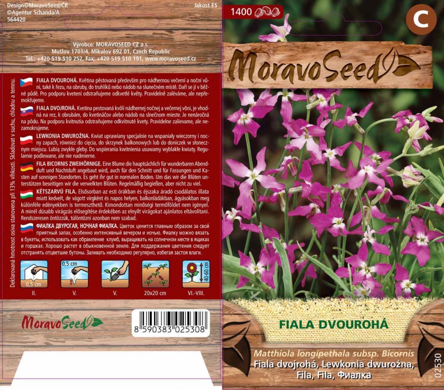Fiala dvourohá fialová - osivo