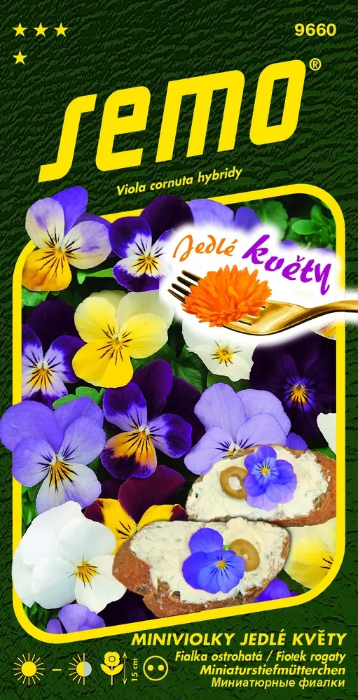Miniviolka Jedlé květy - osivo