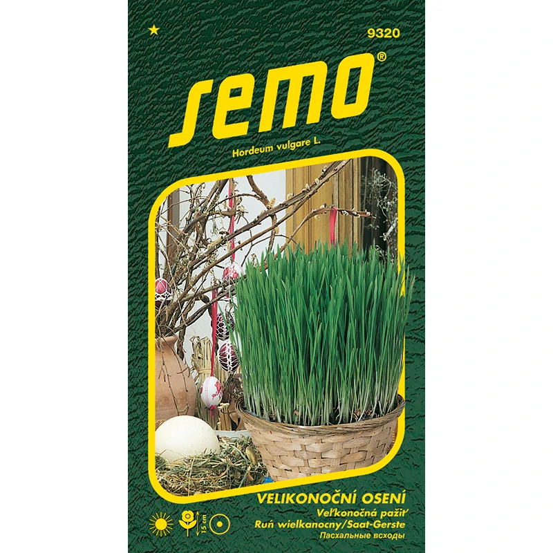 Velikonoční osení - osivo