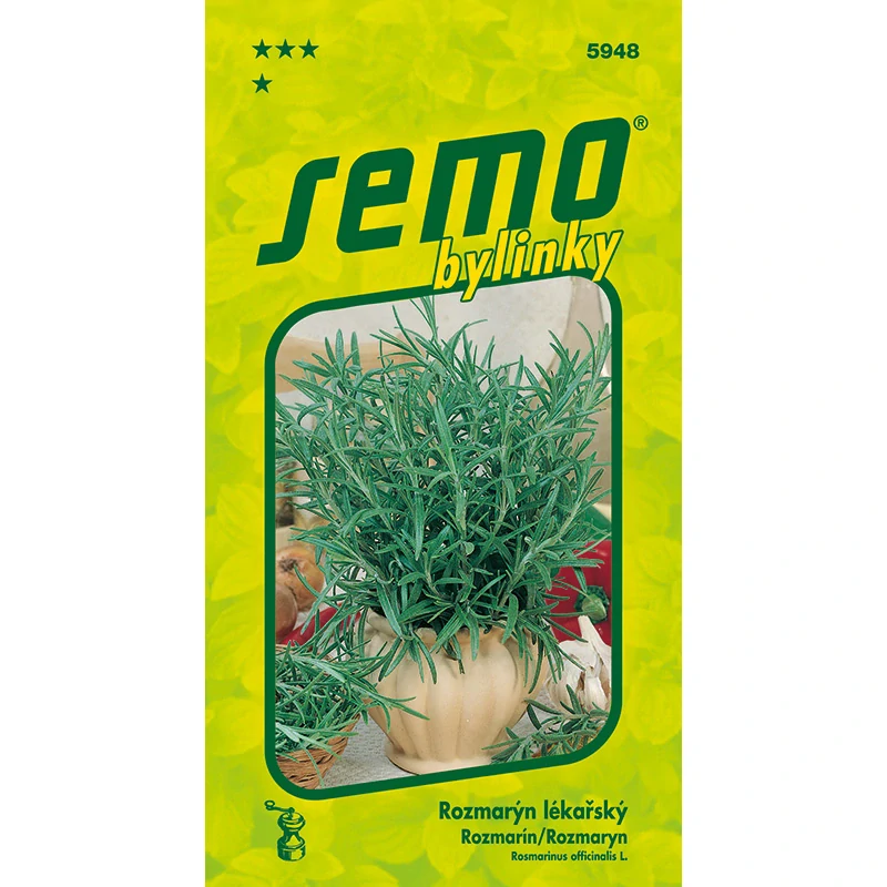 Rozmarýn lékařský - osivo