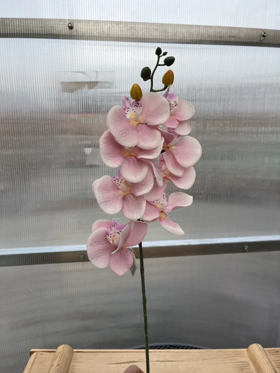 Uměla květina - Orchidej narůžovělá 79cm