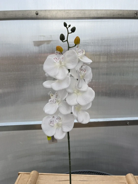 Uměla květina - Orchidej bílá 79cm