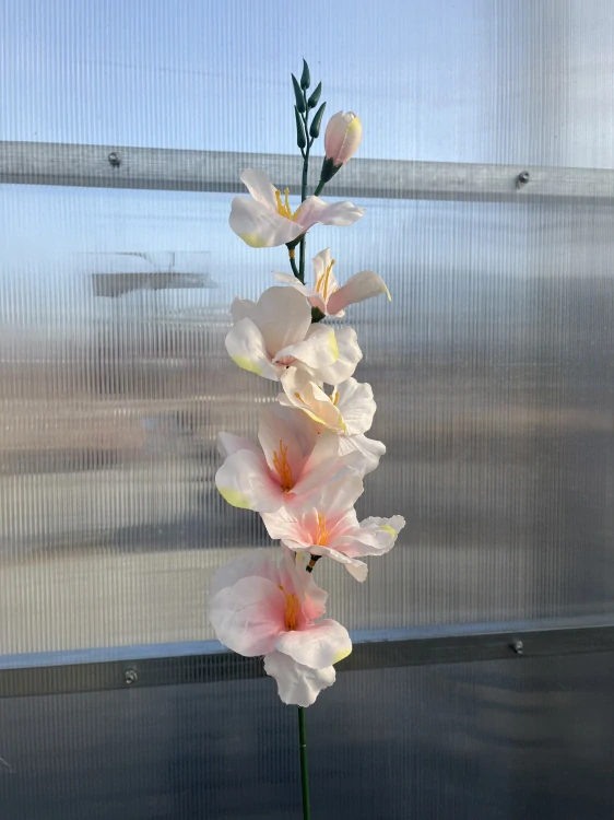 Umělá květina - Gladiola růžová - 63cm