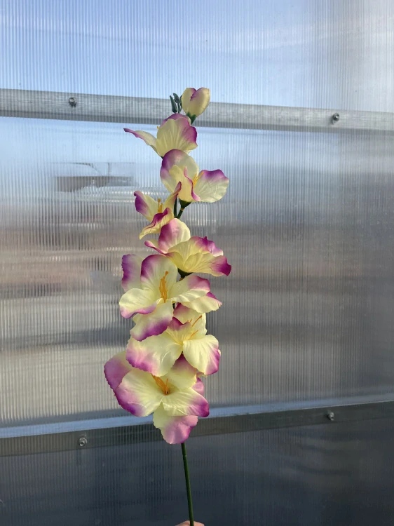 Umělá květina - Gladiola fialovožlutá- 63cm