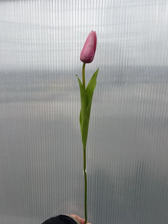 Plastová květina - Tulipán růžový 48cm