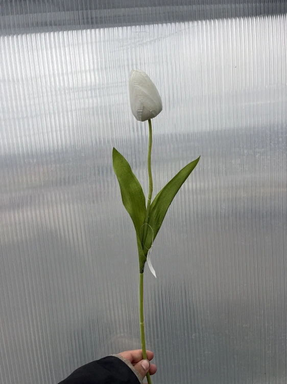 Plastová květina - Tulipán bílý 48cm