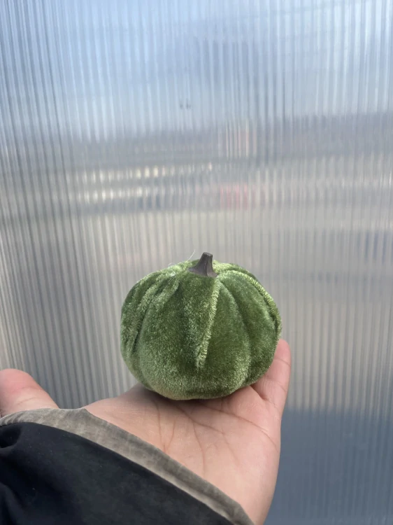 Dýně dekorační zelená 7x6cm