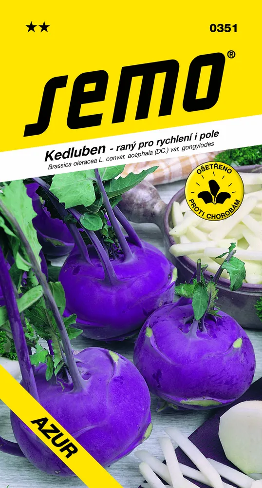 Kedluben Azur - osivo