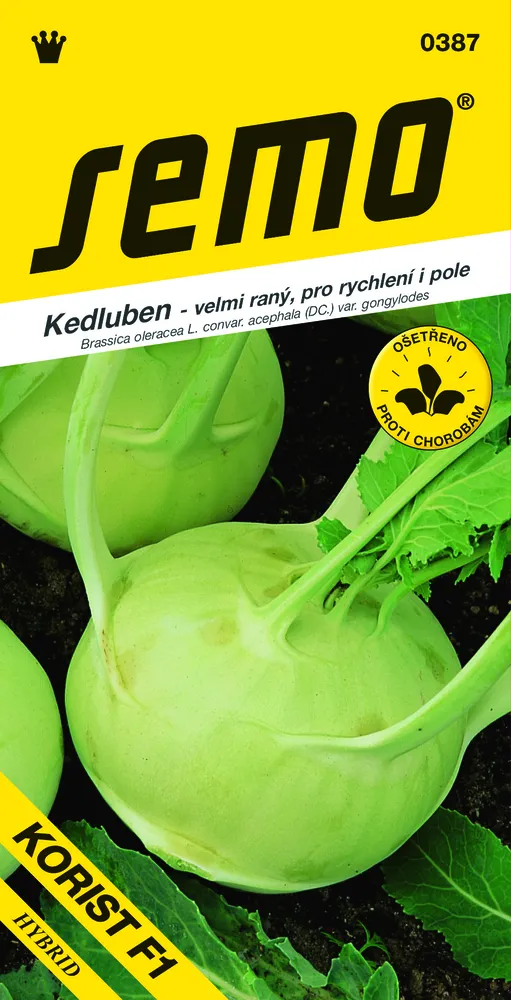 Kedluben Korist F1 - osivo