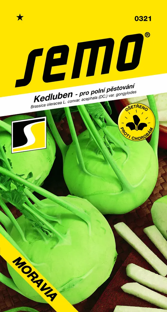 Kedluben Moravia - osivo
