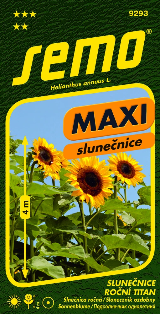 Slunečnice roční Titan - osivo