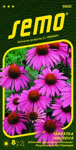 Třapatka nachová purpurová - osivo