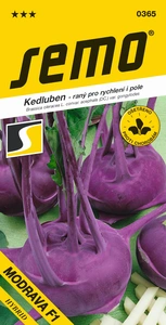 Kedluben Modrava F1 - osivo