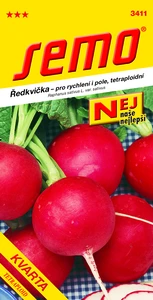 Ředkvička Kvarta - osivo 