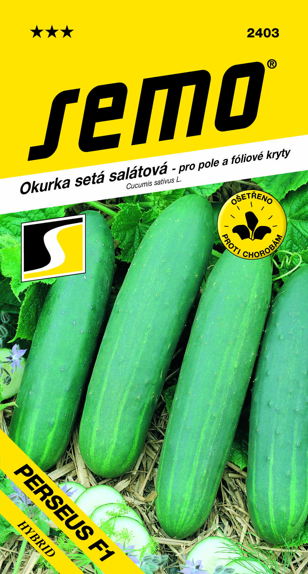 Okurka setá salátová Perseus F1 - osivo
