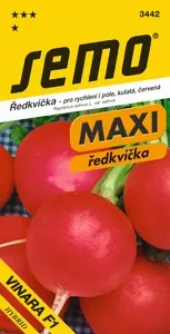 Ředkvička Vinara F1 - osivo