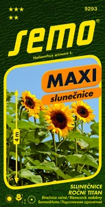 Slunečnice roční Titan - osivo 