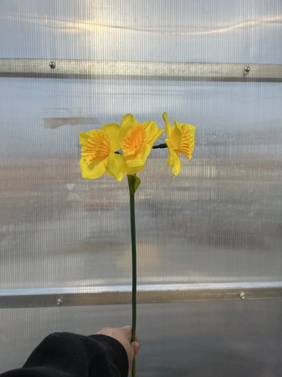 Umělá květina - Narcis žlutý 38cm
