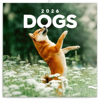 NOTIQUE Poznámkový kalendář Psi 2026, 30 x 30 cm
