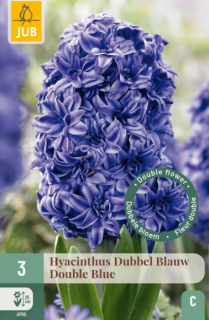 Hyacint Double blue (3 cibule) "C"