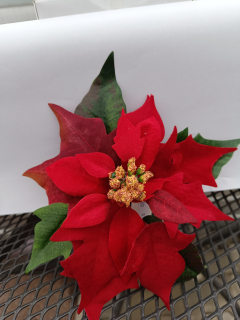 Vánoční dekorace - hvězda červená - 19cm