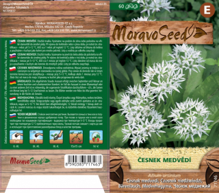 Česnek medvědí - osivo 