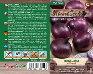 Cibule jarní červená Grenada - osiva