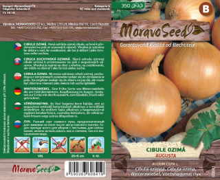 Cibule ozimá Augusta - osiva