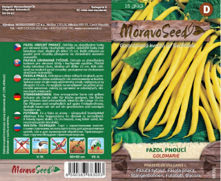 Fazol obecný pnoucí Goldmarie - osivo