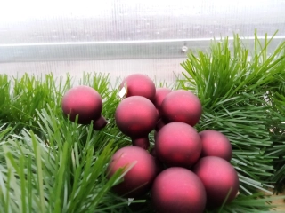 Vánoční dekorace-koule matně červená-svazek-12ks 2cm