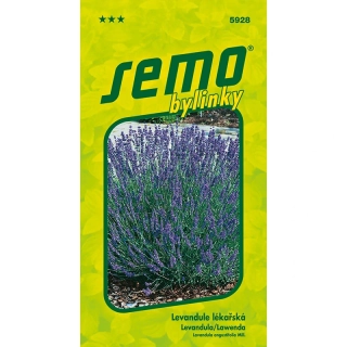 Levandule lékařská Provence - osivo