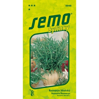 Rozmarýn lékařský - osivo