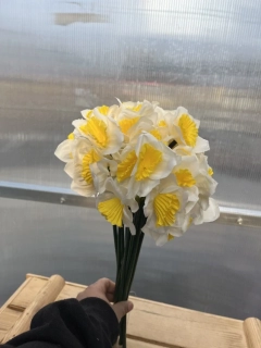 Umělá květina - Narcis bílo-žlutý 38cm