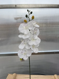 Uměla květina  - Orchidej bílá 79cm 