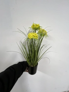 Uměla dekorativní  rostlina s okrasným česnekem 55cm