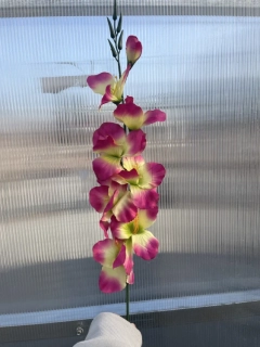 Umělá květina - Gladiola žlutofialová- 63cm