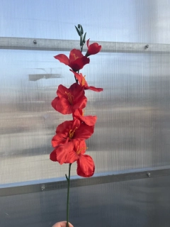 Umělá květina - Gladiola červená - 63cm