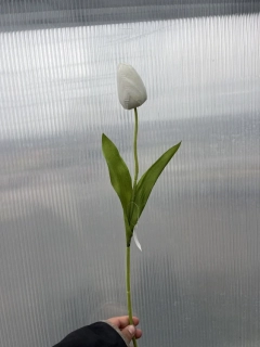 Plastová květina - Tulipán bílý 48cm